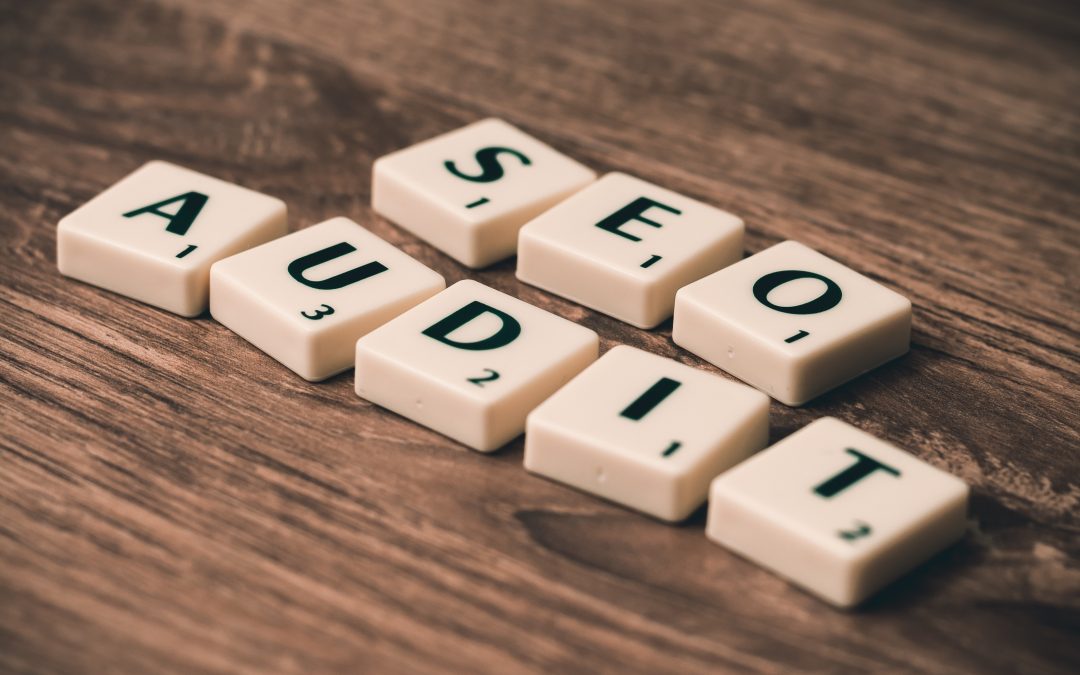 Référencement, Audit SEO